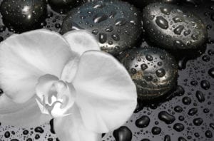 Holistic dentistry is about choosing what is natural for your body - Black stone with water drops